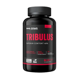 BODY ATTACK Tribulus Terrestris 2400