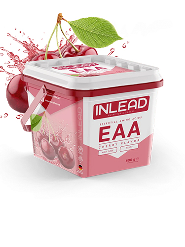 INLEAD EAA