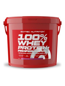SCITEC NUTRITION 100% Whey Protein Professional 4000g