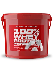 SCITEC NUTRITION 100% Whey Protein Professional (Chocolate Hazelnut, 5000g)